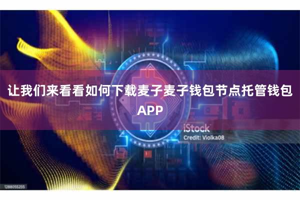让我们来看看如何下载麦子麦子钱包节点托管钱包APP