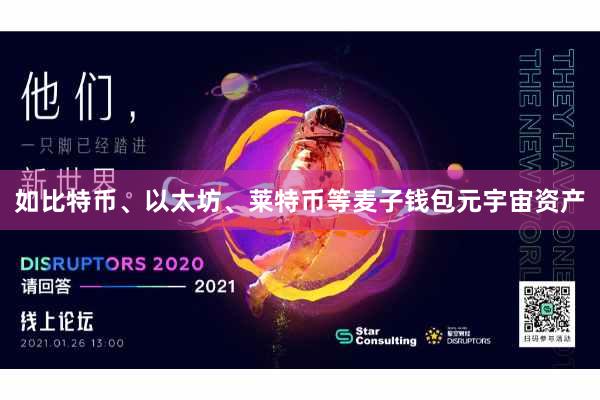 如比特币、以太坊、莱特币等麦子钱包元宇宙资产