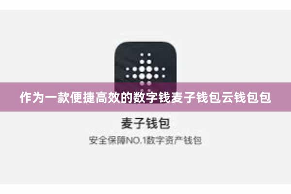 作为一款便捷高效的数字钱麦子钱包云钱包包