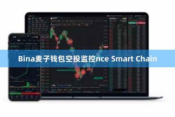 Bina麦子钱包空投监控nce Smart Chain