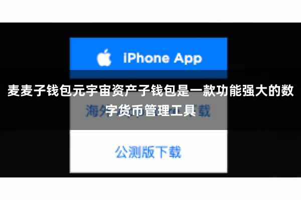 麦麦子钱包元宇宙资产子钱包是一款功能强大的数字货币管理工具