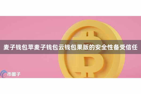 麦子钱包苹麦子钱包云钱包果版的安全性备受信任