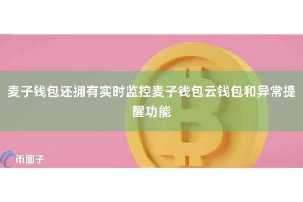 麦子钱包还拥有实时监控麦子钱包云钱包和异常提醒功能
