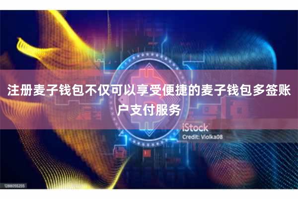 注册麦子钱包不仅可以享受便捷的麦子钱包多签账户支付服务