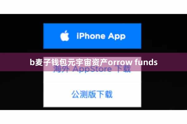 b麦子钱包元宇宙资产orrow funds