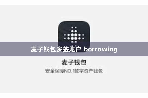 麦子钱包多签账户 borrowing