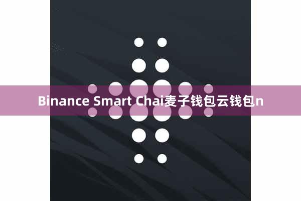 Binance Smart Chai麦子钱包云钱包n