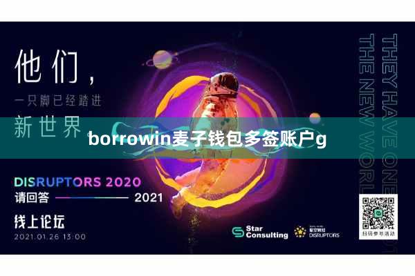 borrowin麦子钱包多签账户g