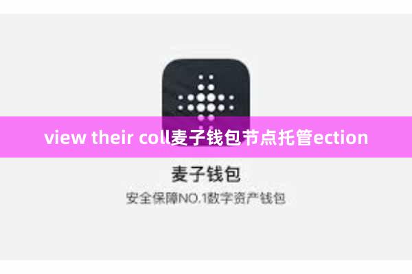 view their coll麦子钱包节点托管ection