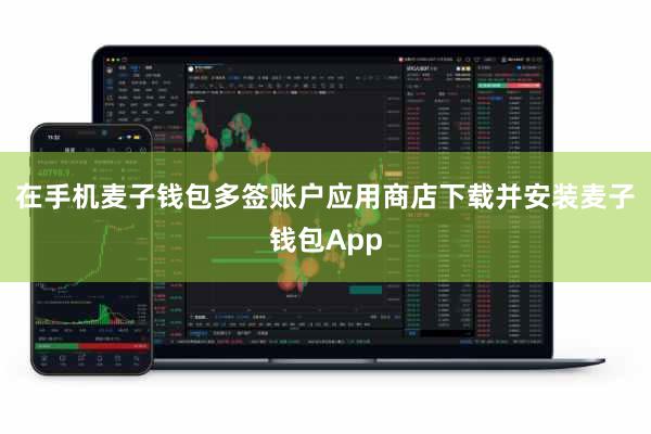在手机麦子钱包多签账户应用商店下载并安装麦子钱包App